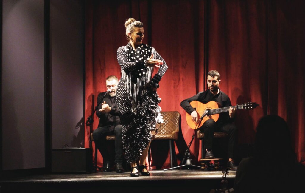 flamenco show in barcelona